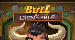 Bull in a China Shop play n go