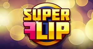 Super Flip play n go