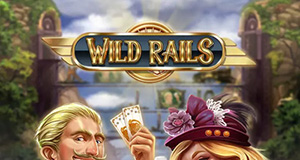 Wild Rails play n go