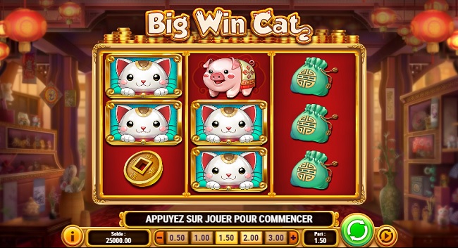 big win cat play'n go