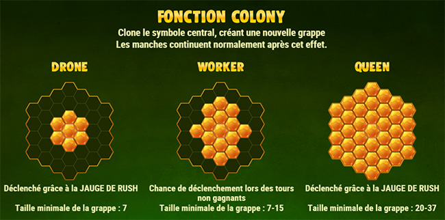 fonction colony honey rush