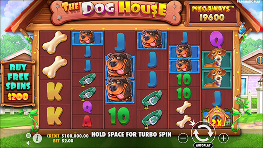 The Dog House Megaways machine x900